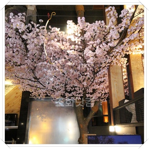 광 PC방 - 벚꽃나무