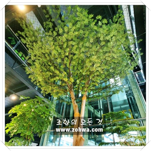 전북 과학교육원 - 익산 올리브나무,대나무,넝쿨,조경