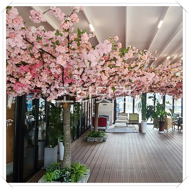 대구 제이비호텔 - 벚꽃나무